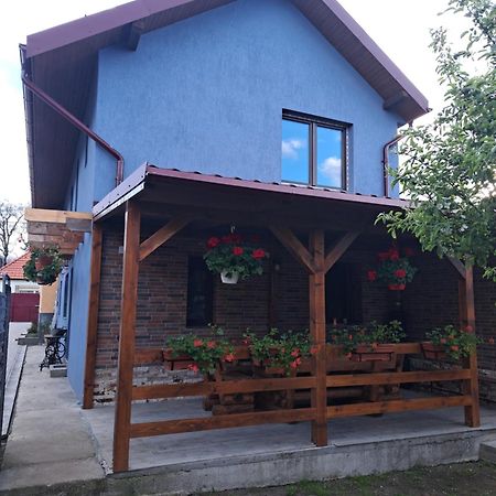 Casa Rustica Saceleana Villa Exteriör bild
