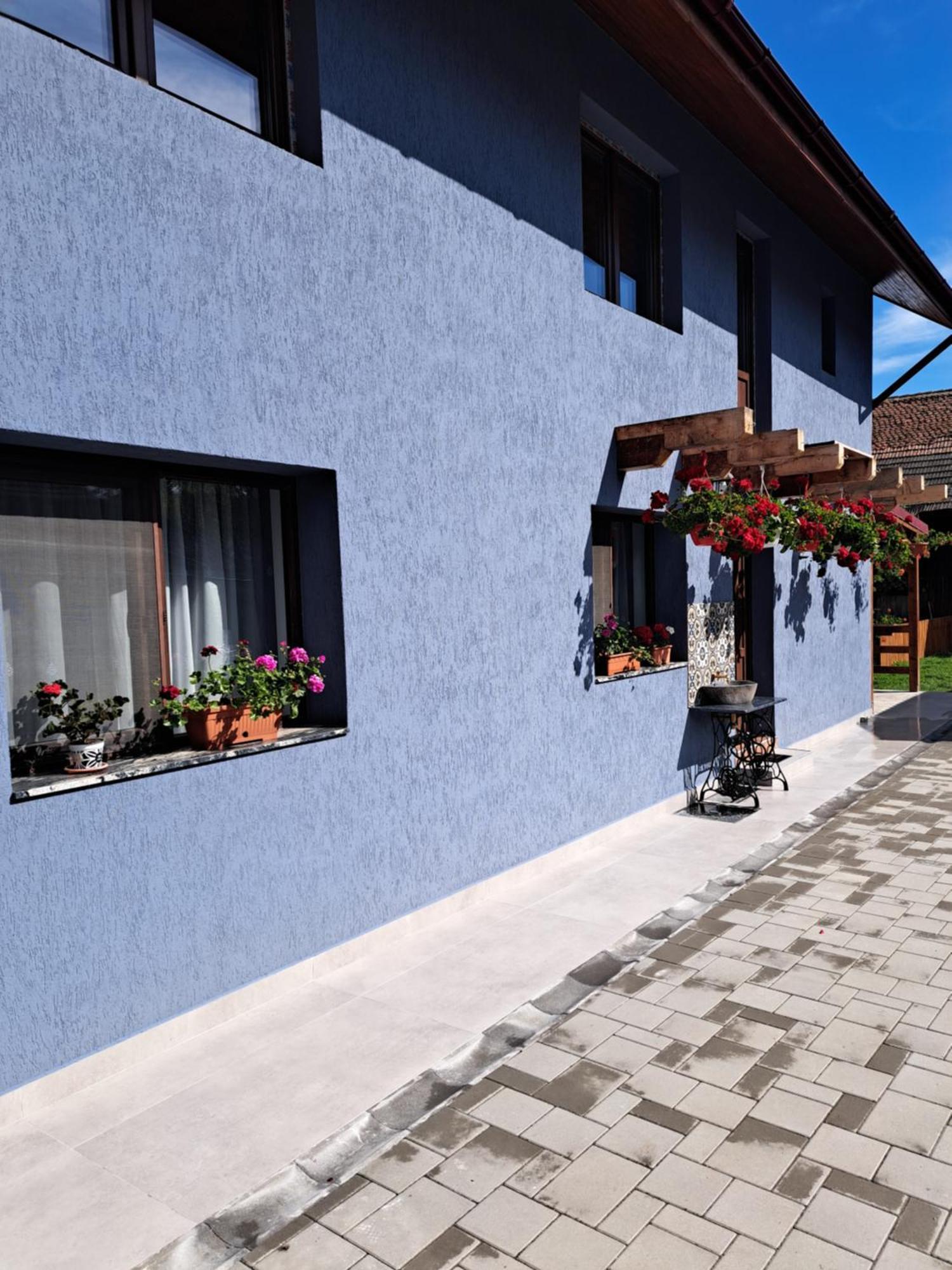Casa Rustica Saceleana Villa Exteriör bild
