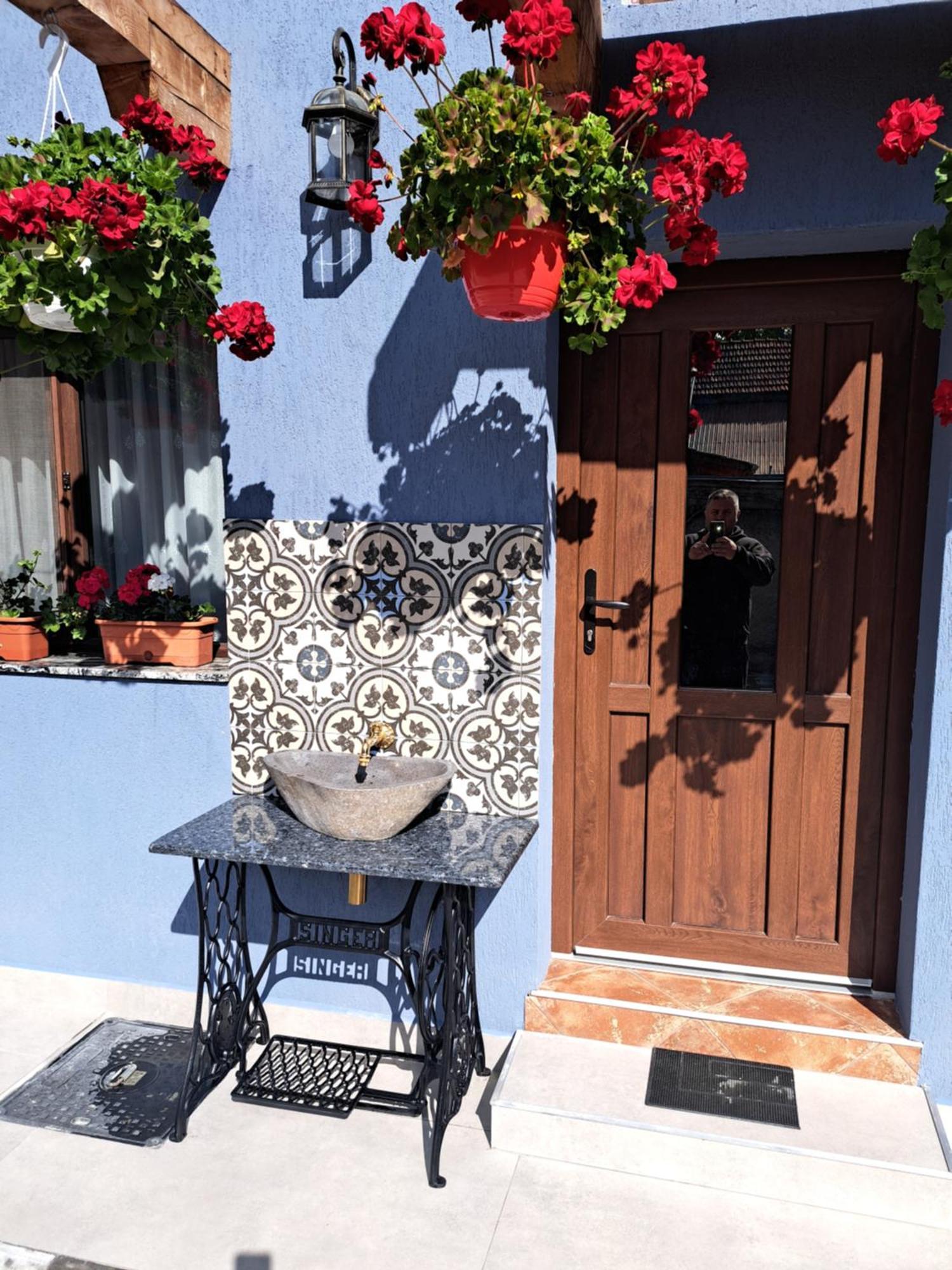 Casa Rustica Saceleana Villa Exteriör bild