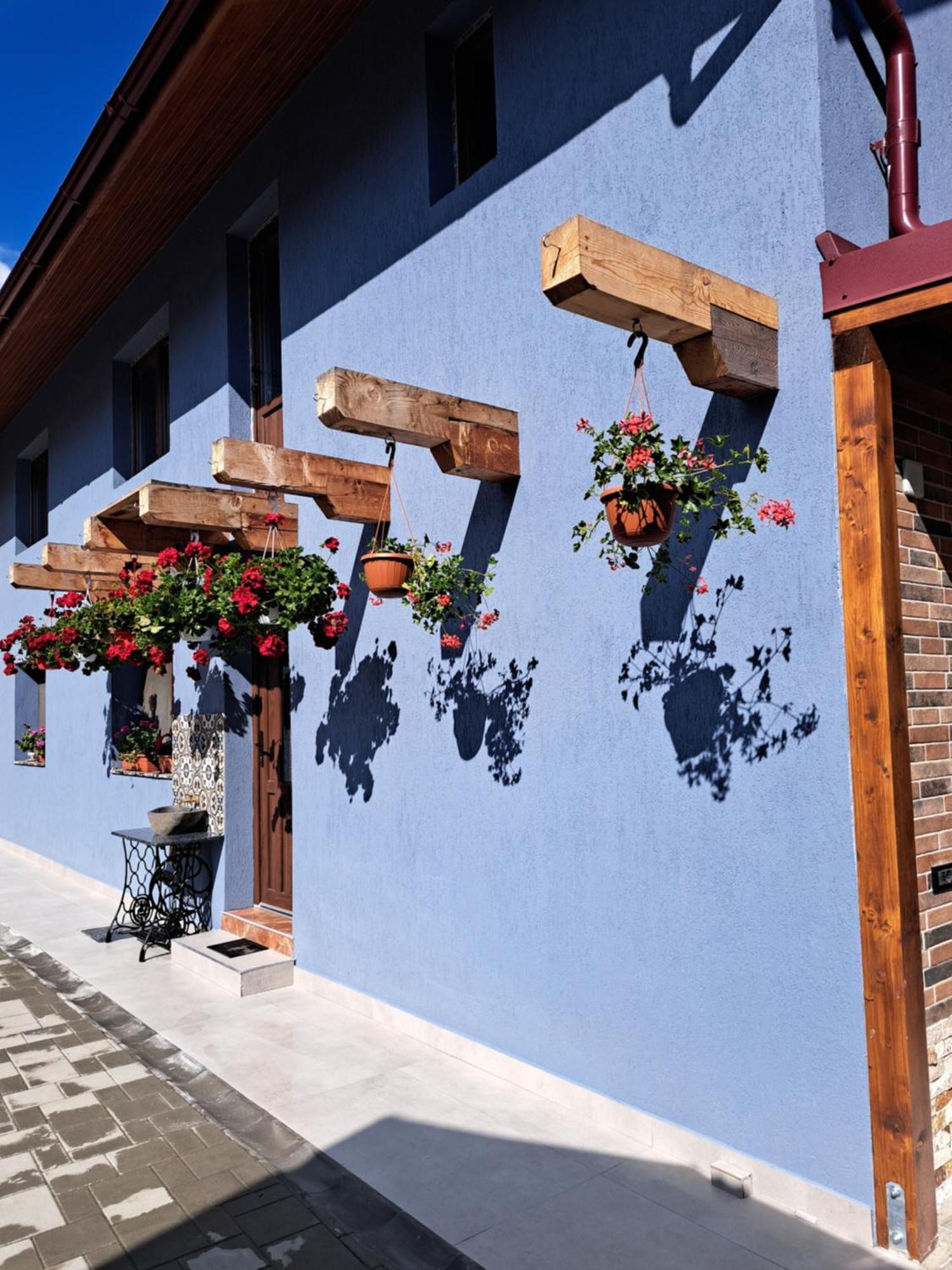 Casa Rustica Saceleana Villa Exteriör bild