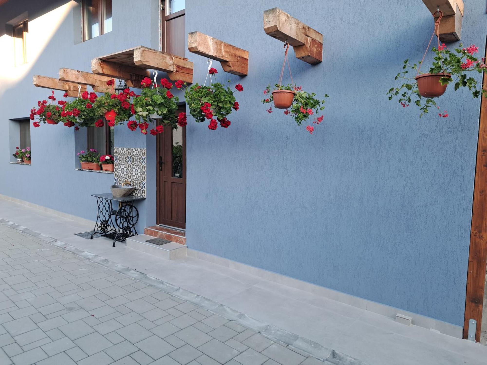 Casa Rustica Saceleana Villa Exteriör bild